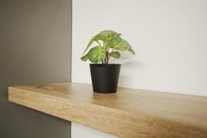 Himson-Green Apartment