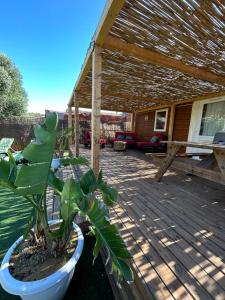 LA ALMADRABA del Palmar