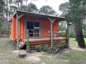 Helles, modernes Containerhaus