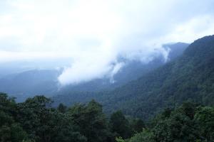 Agumbe Malgudi Homestay