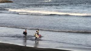 RentHome Dunasol 350