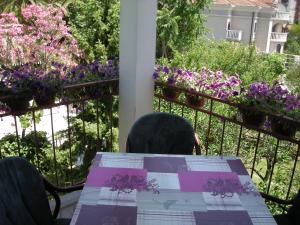 Apartments Budva Center