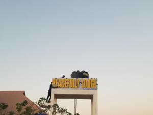 logotype