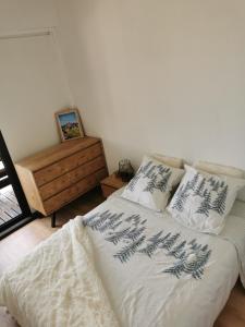 Duplex avec vue lac, résidence la Singlantane