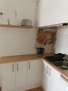 Duplex avec vue lac, résidence la Singlantane