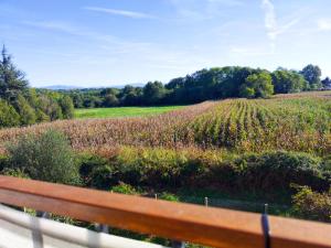 Appartements Terrasse et vue panoramique/Plein centre Boucau : photos des chambres