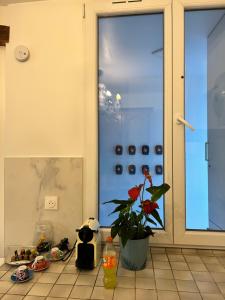 Appartements Grand logement Centre Ville Massy : photos des chambres