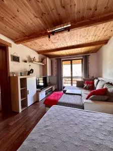 Apartmán s výhledem na Jezerní stěnu - Špičák