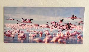 Appartements Immeuble 3 Apparts Centre historique St Gilles MaisoncarreeConciergerie : Appartement - Rez-de-Chaussée