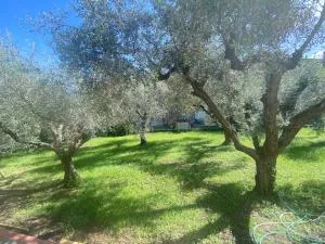 La Casa di RosaBea - Il Romito