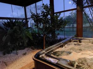 Maisons de vacances Great house- swimmingpool and jacuzzi -10km from Sarlat La Caneda : photos des chambres