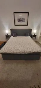 Freienwohnung 80qm, 4 Personen mit Kamin - 平讷贝格 Freienwohnung 80qm, 4 Personen mit Kamin - 平讷贝格