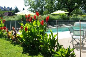 Maisons de vacances Great house- swimmingpool and jacuzzi -10km from Sarlat La Caneda : photos des chambres