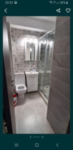 Apartament George