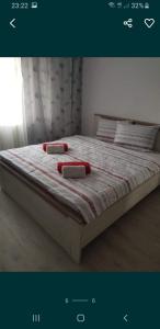 Apartament George