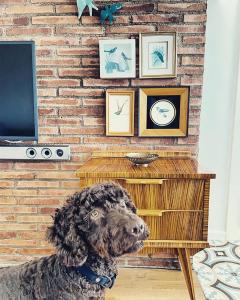 Primera linea de Playa de Martina