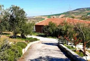 Cortijo Puente Alhama - Pilas Dedil