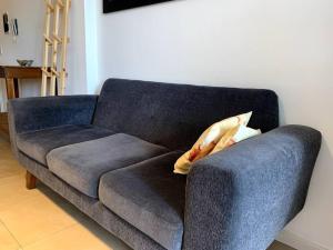 C Excepcional Estudio en Palermo Hollywood 300Mb speed