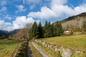 Maisons de vacances L-Oree des Etoiles dans la Vallee de Munster : photos des chambres