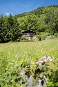 Maisons de vacances L-Oree des Etoiles dans la Vallee de Munster : photos des chambres