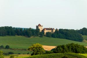 Logis Hostellerie des Monts Jura photo 6