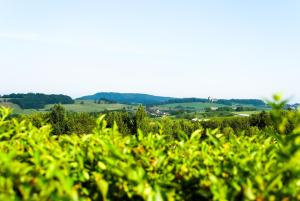 Logis Hostellerie des Monts Jura photo 9