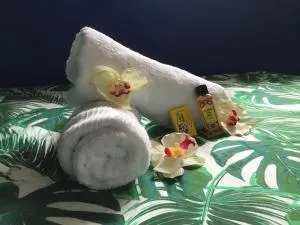 Belle Maison F3 - 帕皮提