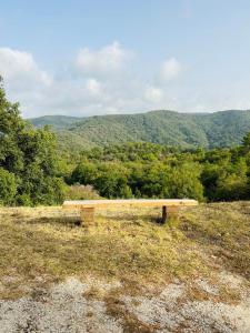 Maisons d'hotes Le Cabanon : photos des chambres