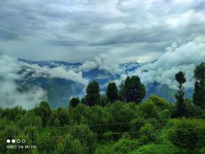 The Tree Top Treehouse Jibhi