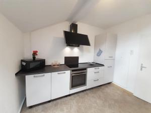 Spacious Apartment for Traveler and Fitter