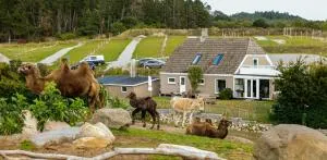 Ree Park Safari - Fuglslev