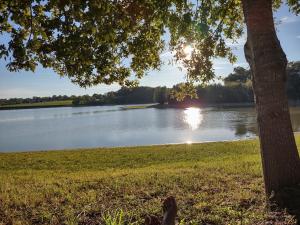 Maisons de vacances The Lake Cottage in Gascony France : photos des chambres