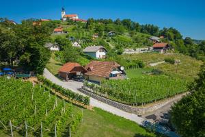 Vineyard Cottage Hočevar With Sauna - Happy Rentals 