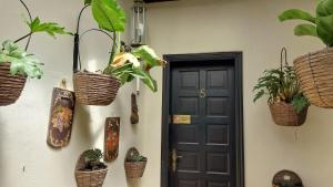 Aptos Monasterio de San Antonio 5