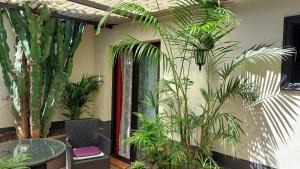 Aptos Monasterio de San Antonio 1