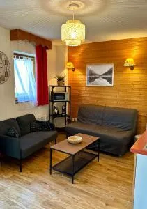 Charmant appartement confortable pour 6 personnes 40m2 pied pistes, wifi, parking - Séchilienne