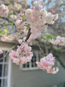 Gowan Valley Guest Farm