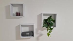Apartman 