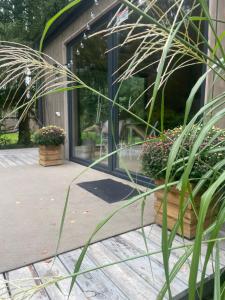 Domki Skandynawskie nad Pilicą, Duży Domek