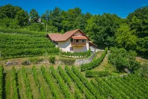 Vineyard Cottage Ucman - Happy Rentals - Šmarjeta