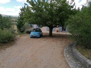 Maisons de vacances Petit coin de Paradis en Provence : photos des chambres