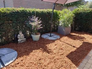 Het Zonnetje -Vakantiewoning en Bed and Breakfast