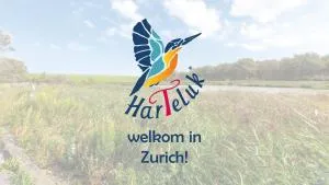 HarTeluk Afsluitdijk Zurich - Cornwerd