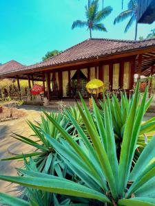 Villa Bulan Madu Gili Air
