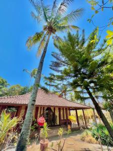 Villa Bulan Madu Gili Air