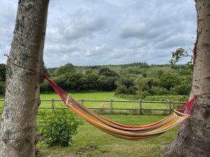 Appartements gite la martinerie : photos des chambres