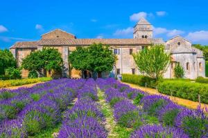 Maisons de vacances Gite Amour de Provence : photos des chambres