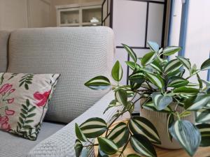 Del Parque Flats Galatas Malaga