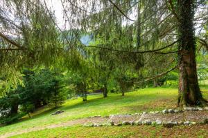 Maisons de vacances Quiet and Authentic Mountain Chalet : photos des chambres