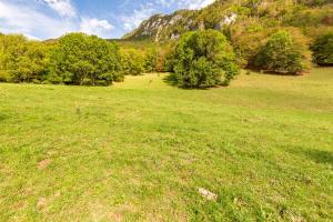 Maisons de vacances Quiet and Authentic Mountain Chalet : Maison de Vacances